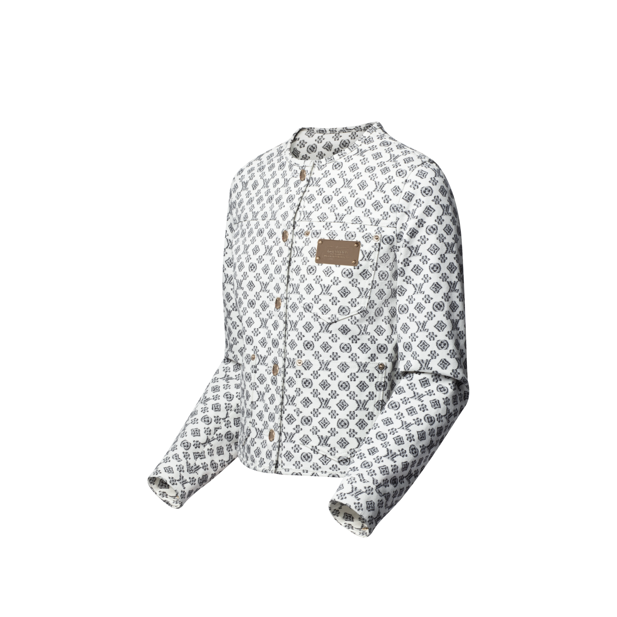 Blurry Monogram Jacket  in Women