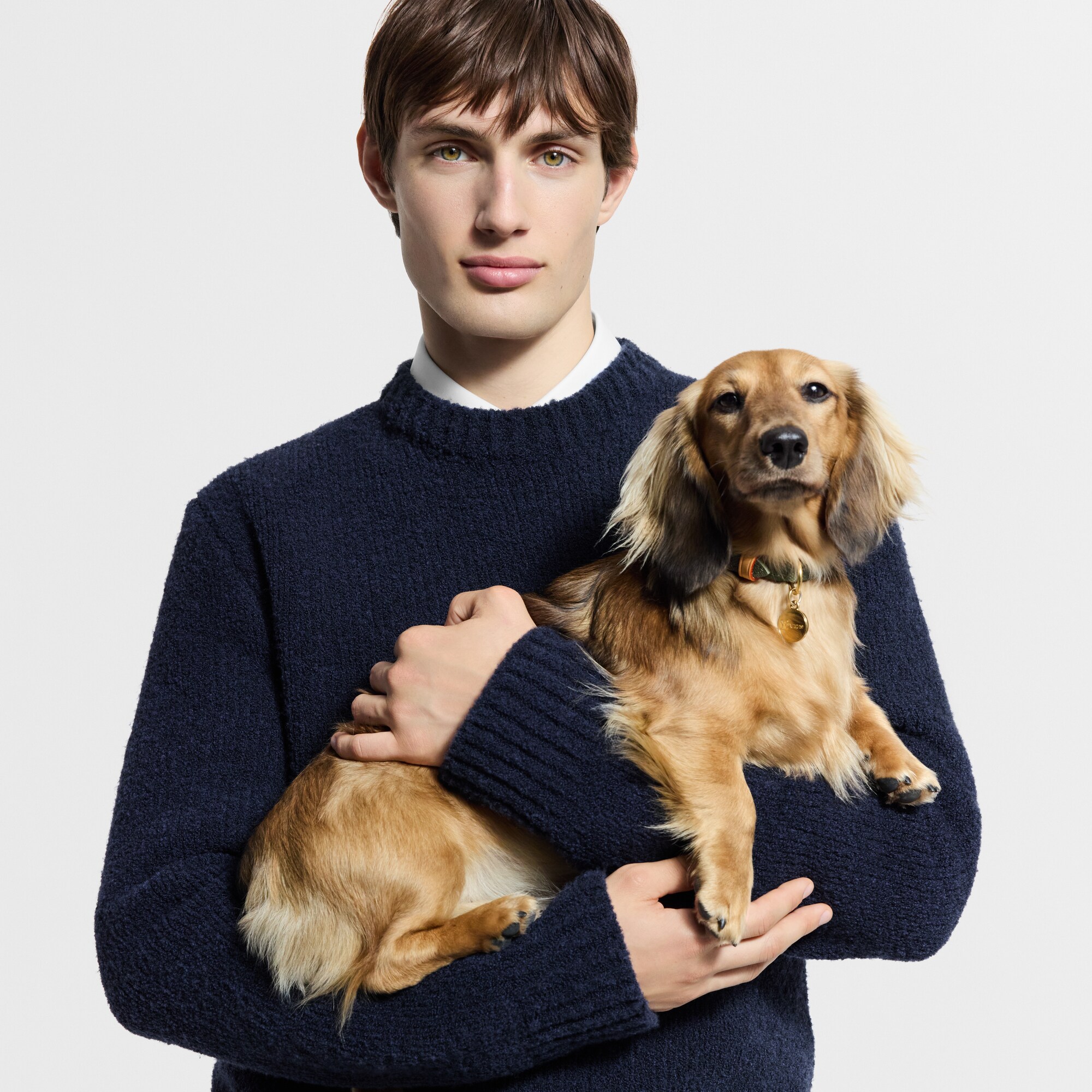 طوق الكلاب، مقاس XS S00 in الصناديق، السفر والمنزل