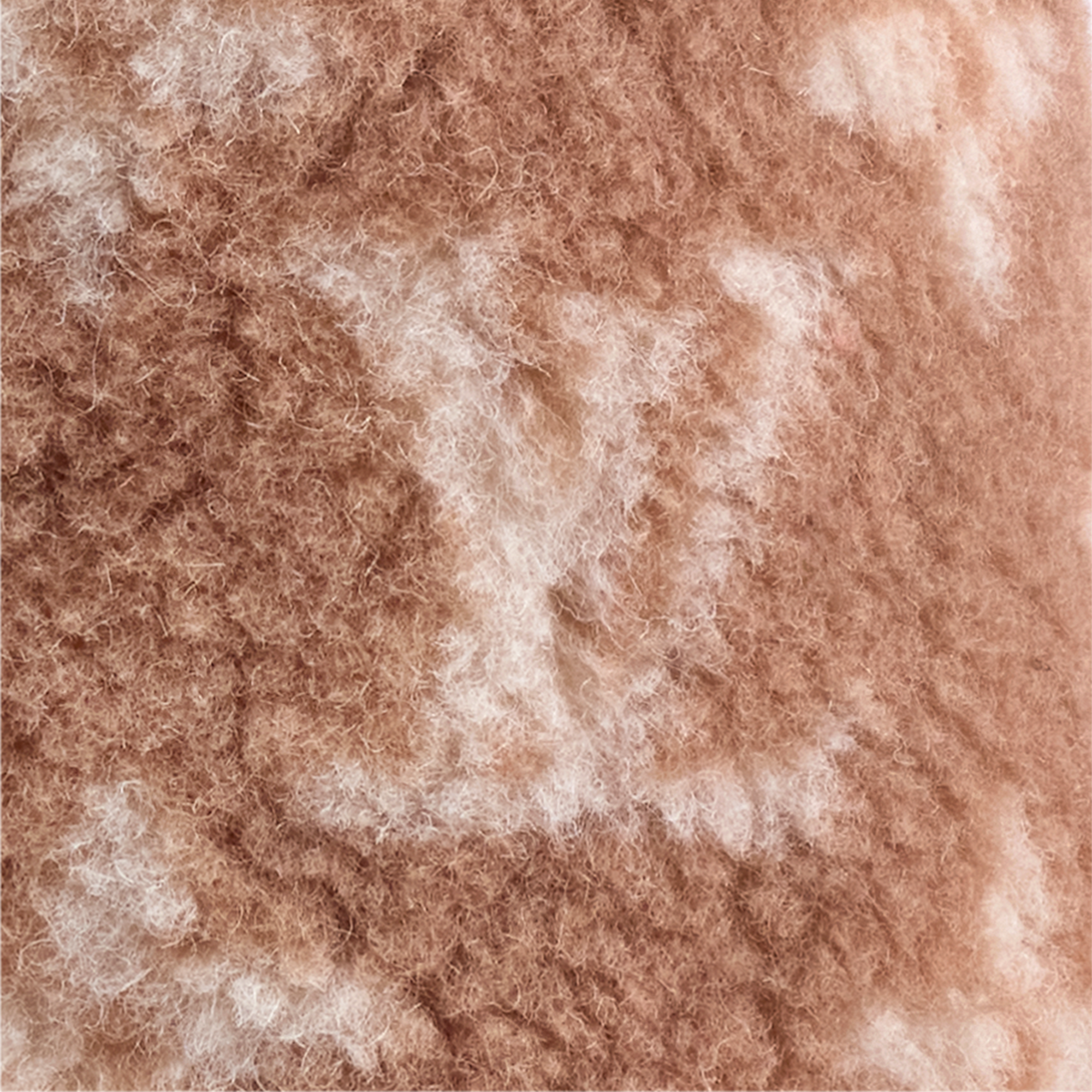 جاكيت للكلاب من الصوف الخفيف، مقاس XS S00 in الصناديق، السفر والمنزل