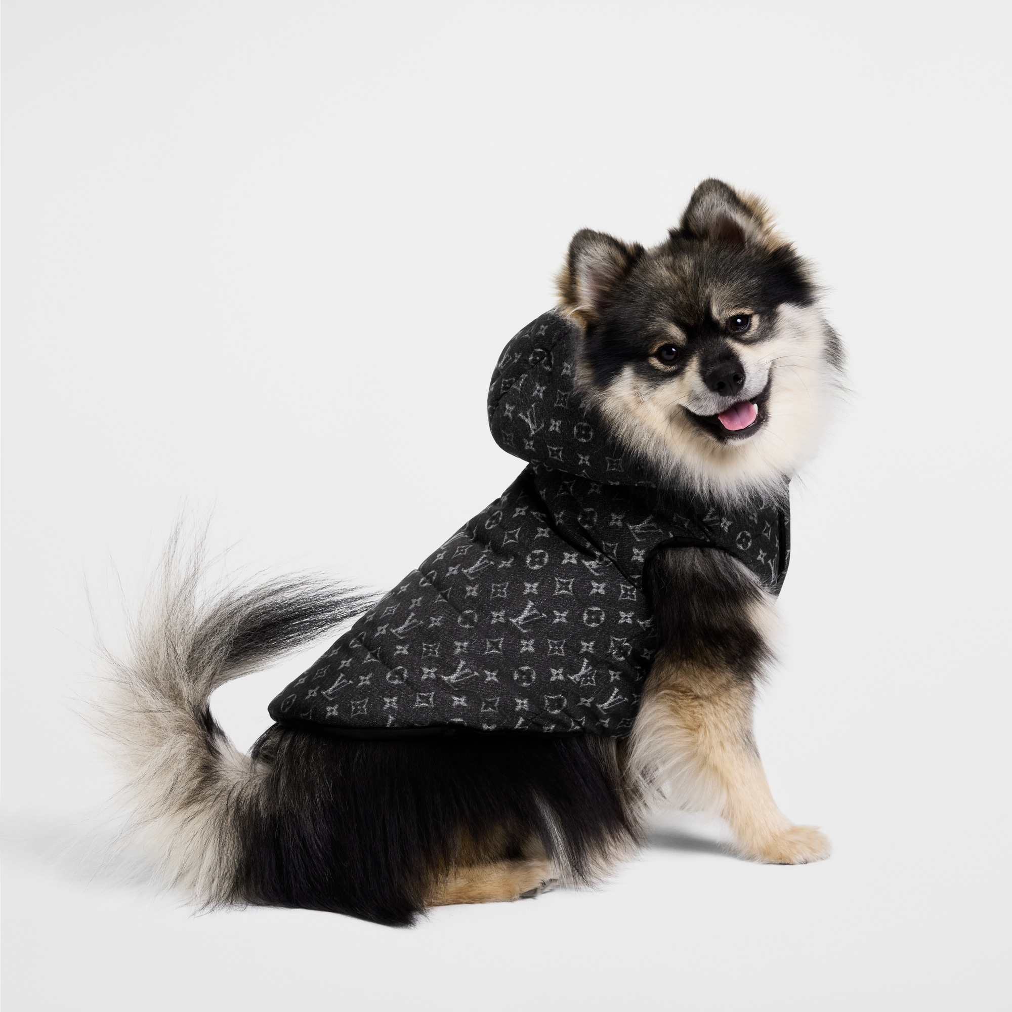 Dog Puffer Jacket PM S00 in Trunks, Travel and Home