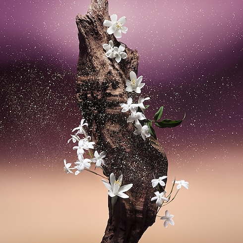 عطر FLEUR DU DÉSERT in العطور والتجميل's المجموعات عطور رجالية collections by Louis Vuitton (تكبير صورة المنتج)