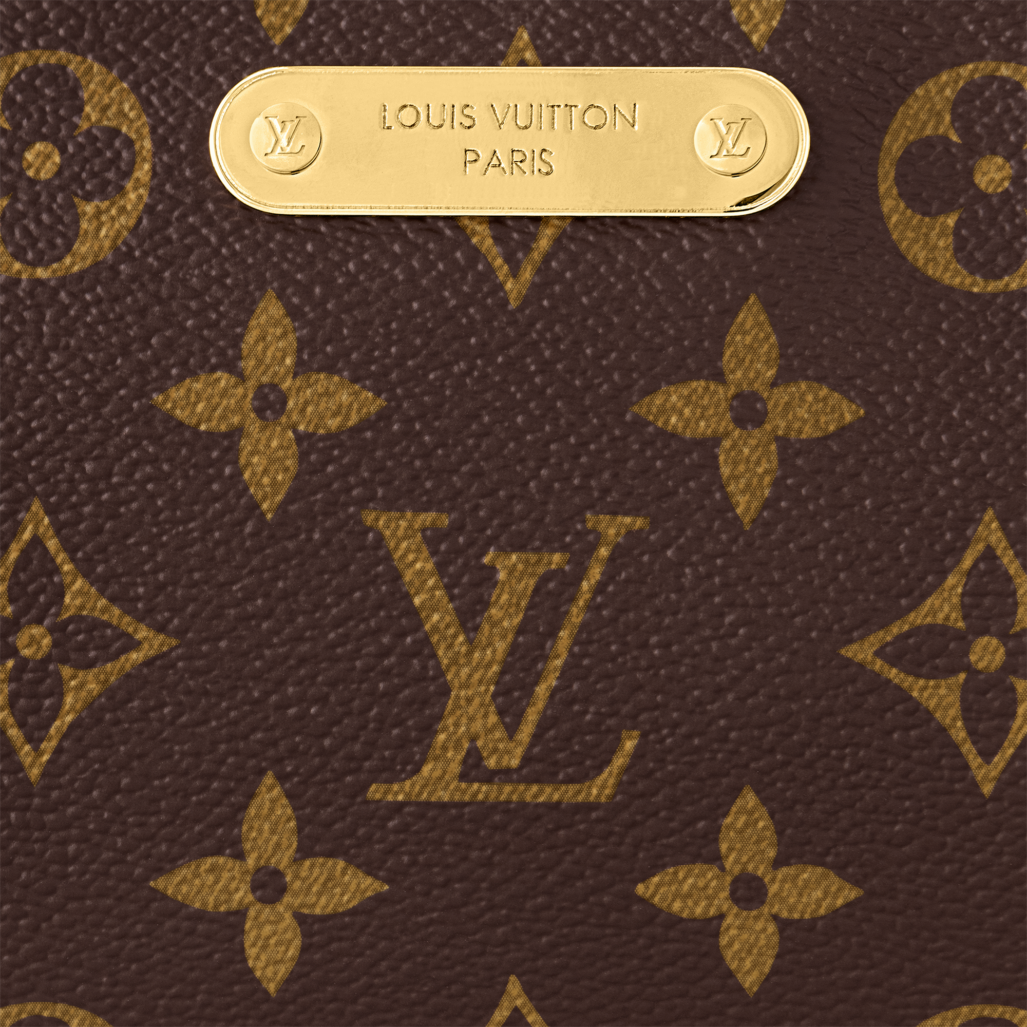 Liv Pochette Monogram in Women