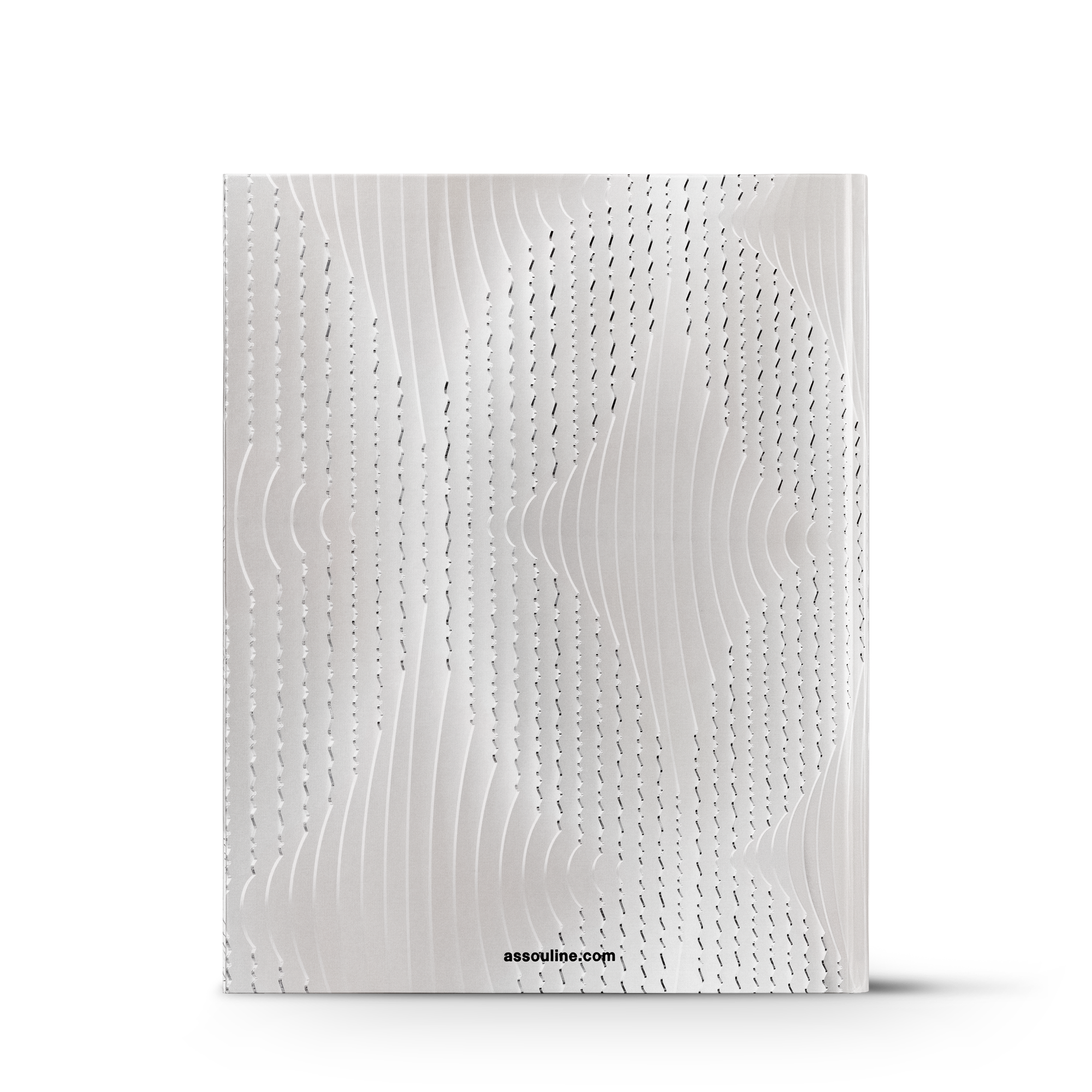 Louis Vuitton Skin: Architecture of Luxury NYC  in Trunks, Travel and Home