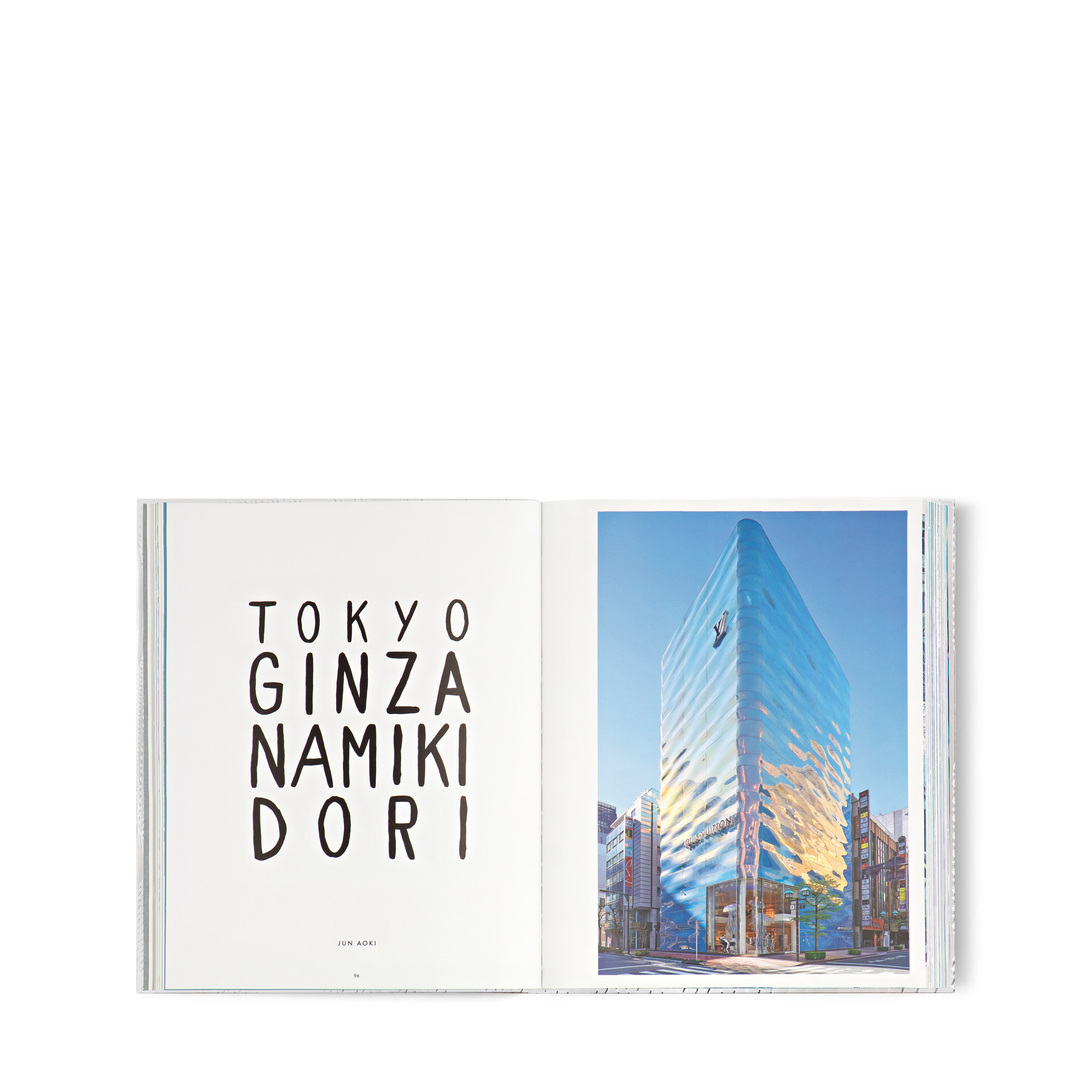 Louis Vuitton Skin: Architecture of Luxury NYC  in Trunks, Travel and Home