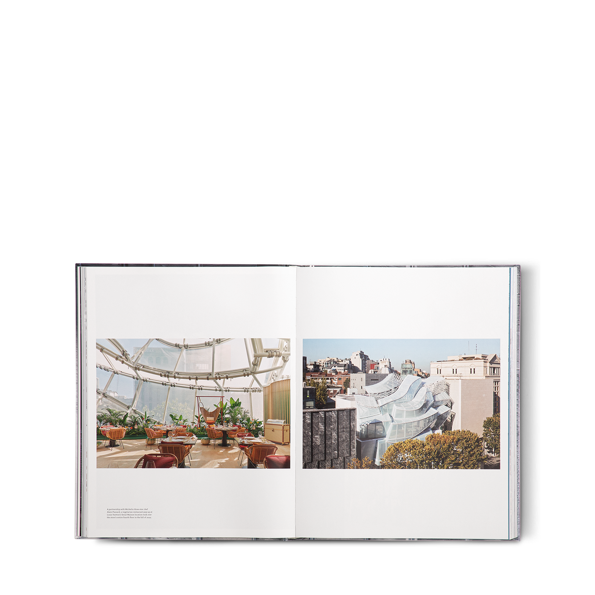 كتاب Louis Vuitton Skin: Architecture of Luxury Singapore  in الصناديق، السفر والمنزل