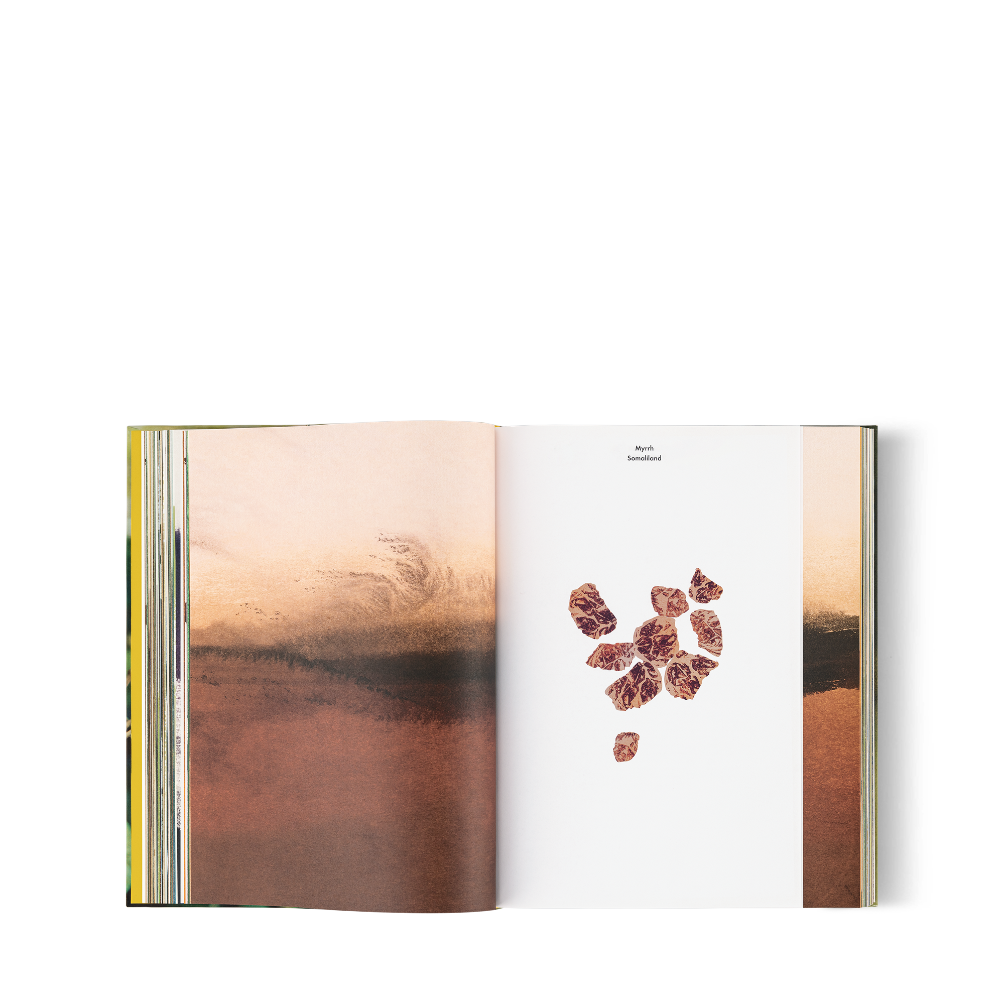 كتاب Louis Vuitton: A Perfume Atlas، النسخة الإنجليزية  in الصناديق، السفر والمنزل