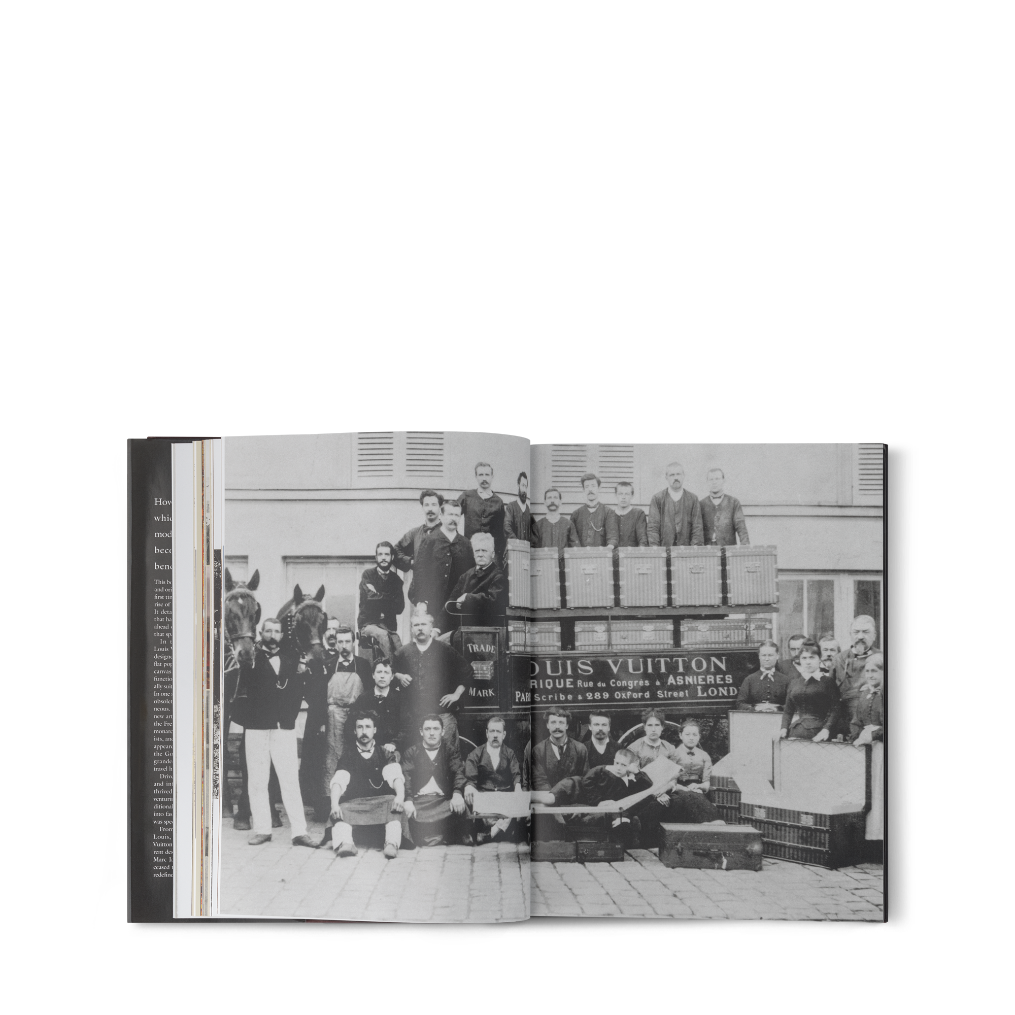 كتاب Louis Vuitton: The Birth of Modern Luxury  in الصناديق، السفر والمنزل