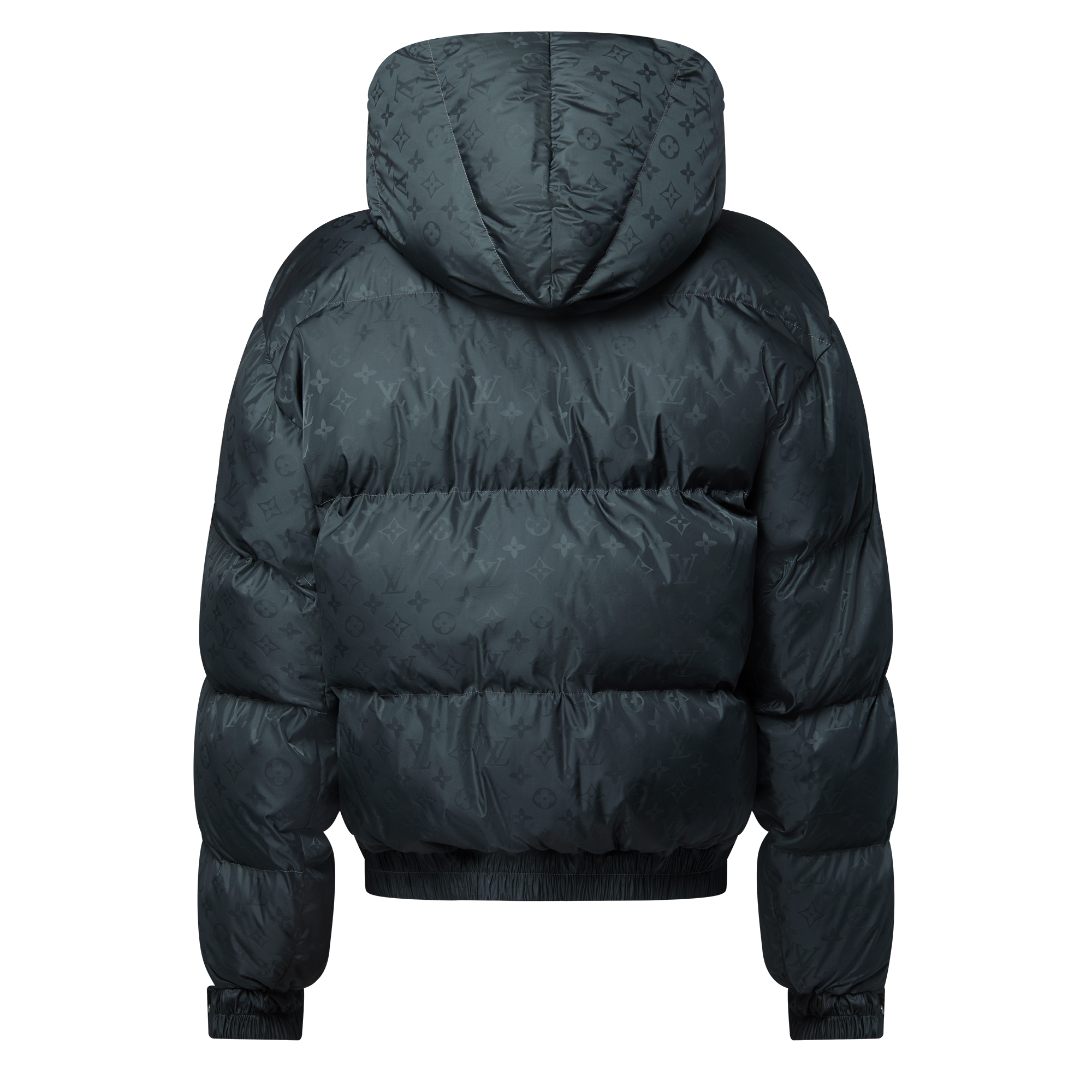 Monogram Down Jacket  in Men