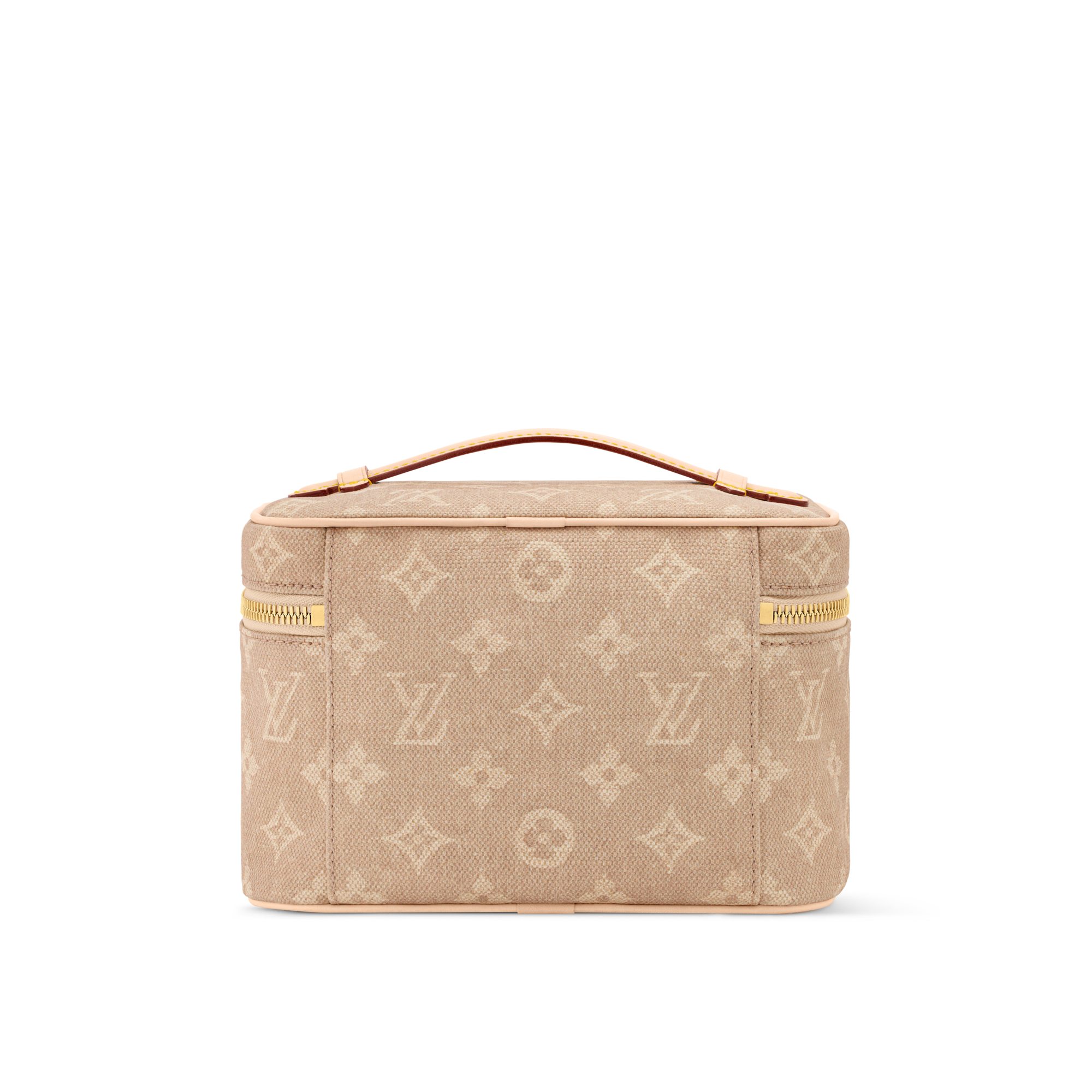 Nice Mini Autres Toiles Monogram in Women