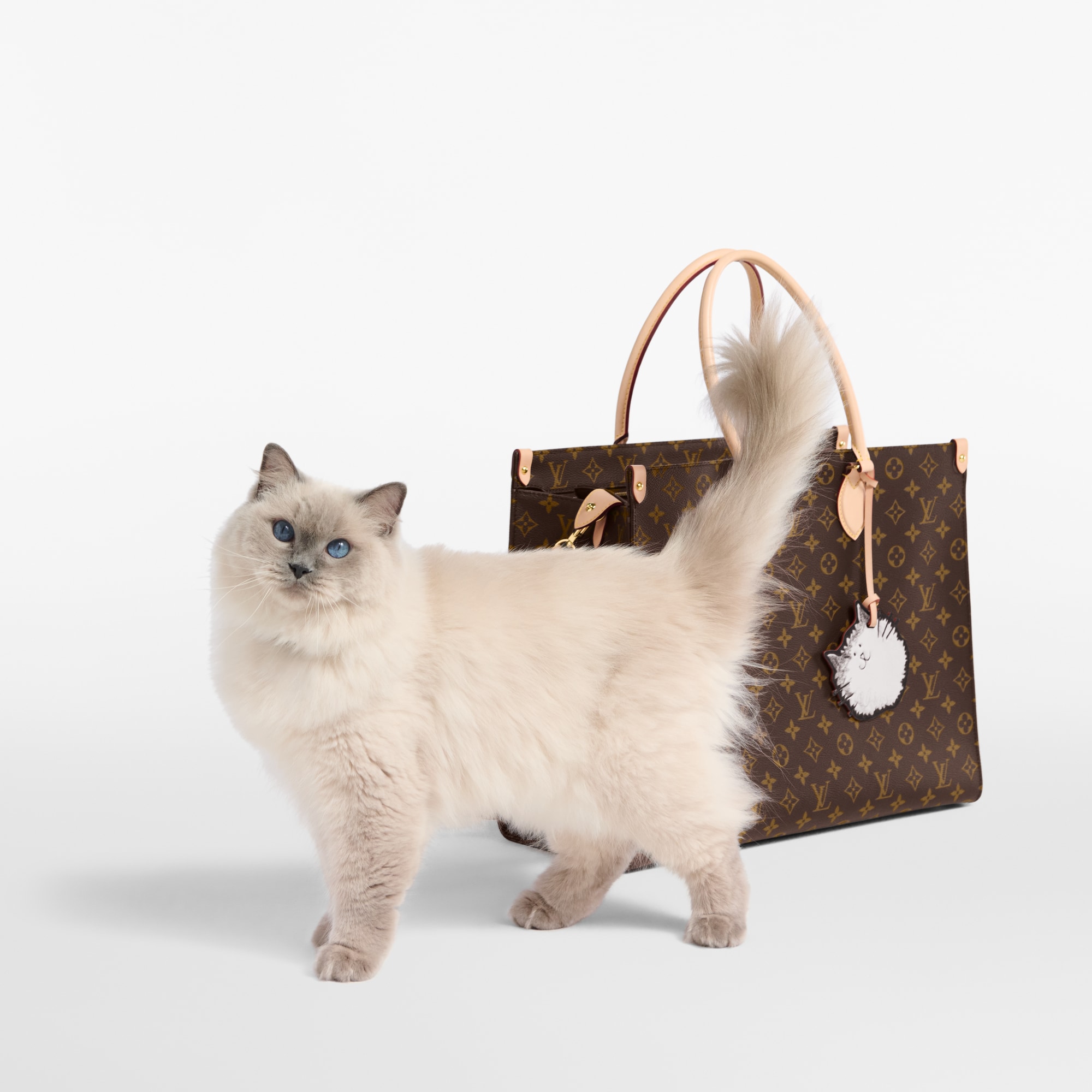 OnTheGo Cat Monogram in Women