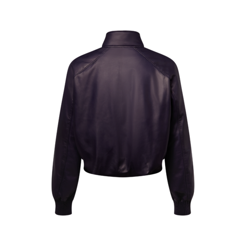 Padded Leather Blouson in Men's Ready to Wear Outerwear and Coats collections by Louis Vuitton (Product zoom)