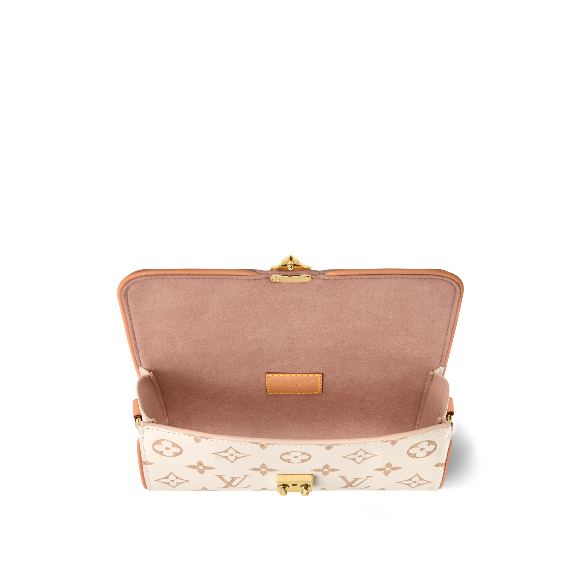 Pochette Camille Autres Toiles Monogram in Women