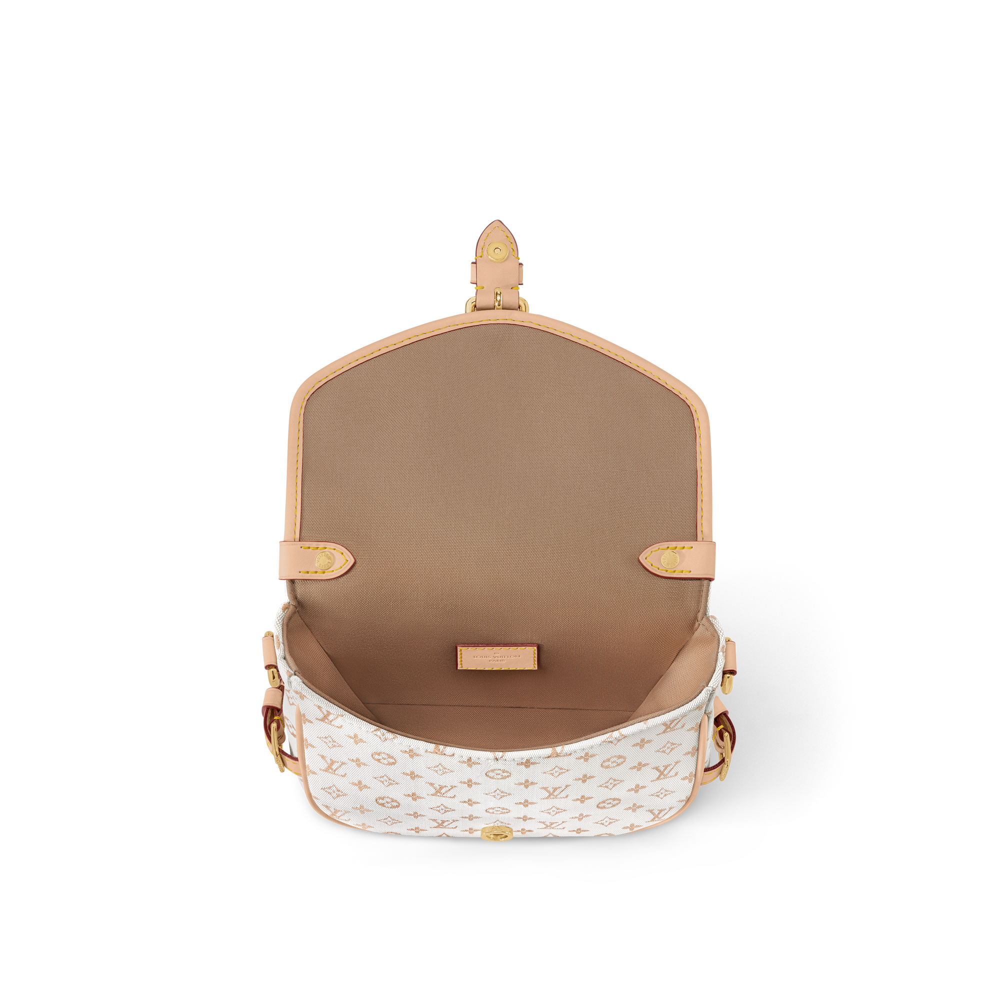 Saumur BB Autres Toiles Monogram in Women